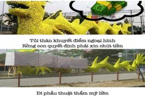 Cười ngả nghiêng với thơ, ảnh chế về con rồng Hải Phòng