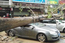  Chùm ảnh bão số 6 Hato tàn phá Hong Kong, Trung Quốc