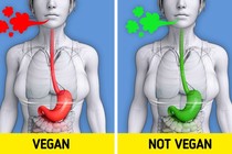 10 điều xảy ra trong cơ thể khi chúng ta ăn chay trường