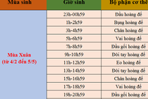 Coi số mệnh sướng khổ qua giờ sinh theo mùa 