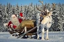 Giải mã chuyện chỉ tuần lộc cái kéo xe cho ông già Noel