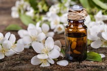 Vì sao lô SP Tinh dầu hoa bưởi của Doanh nghiệp Long Thuận bị thu hồi?