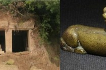 Đi dạo trong rừng, sững sờ tìm thấy "quái thú" bằng vàng