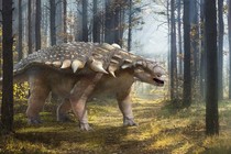 Xuất hiện "cá sấu quái vật" giống khủng long kỷ Jura