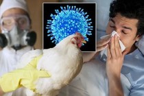 Phân biệt cúm A và cúm A/H5N1 bằng cách nào?