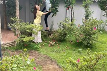 Cơ ngơi xanh mướt của vợ chồng ca sĩ Vy Oanh tại Đà Lạt