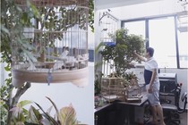 Hé lộ "gia trang" ngập tràn cây xanh và chim cảnh của nghệ sĩ Chí Trung 