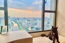 Căn hộ xa hoa như khách sạn 5 sao của Trấn Thành - Hari Won 