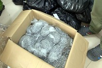 Hải quan thu giữ 179kg ma túy tổng hợp MDMA vận chuyển qua đường hàng không