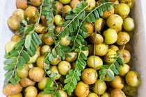 4 quả mọc hoang dại bỗng thành đặc sản “giá chát” nhiều người lùng mua