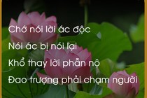 Chiêm nghiệm luật nhân quả qua lời Phật dạy