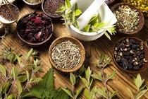 4 bài thuốc cho từng giai đoạn sốt xuất huyết 