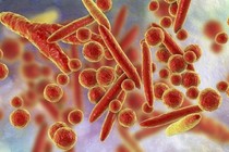 Chỉ như cảm cúm nhiều trẻ mắc viêm phổi, suy hô hấp do nhiễm Mycoplasma