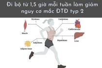Đi bộ 1,5 giờ mỗi tuần giảm nguy cơ mắc bệnh thần kinh và bệnh thận