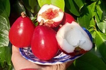 Bác sĩ chỉ rõ loại quả ngọt là thần dược hạ đường huyết, ngừa ung thư