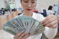 Tỷ giá USD hôm nay 13/10/2023: Đồng USD có tăng trở lại?