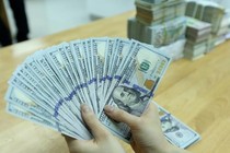 Tỷ giá USD hôm nay 13/9/2024: Biến động tăng?