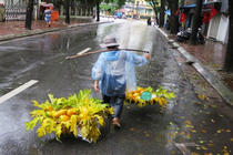 Từ tháng 3, miền Bắc chuyển lạnh, mưa phùn thường xuyên