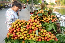 Giá vải thiều bắt đầu vào bão lao dốc?