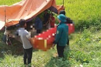 Nghệ An: Lật máy gặt, người đàn ông tử vong thương tâm
