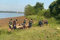 Nghệ An: Tìm thấy thi thể người phụ nữ gieo mình xuống sông Lam