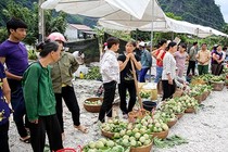 Lạng Sơn: Nhộn nhịp chợ na lớn nhất nước vào mùa