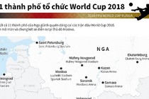 Infographic: 11 thành phố tổ chức World Cup 2018