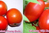 Để tránh mua rau củ Trung Quốc, bạn cần nhớ những điều này