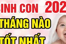 Sinh con năm Nhâm Dần 2022 tháng nào vượng nhất, tương lai trẻ làm quan? 