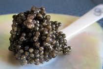 Lý do gì khiến trứng cá Caviar đắt bậc nhất hành tinh? 