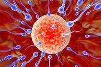 Tinh trùng bị kết dính