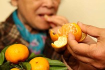 Sự thực khi ho không nên ăn quýt