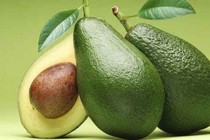 Ăn quả bơ giúp giảm cân