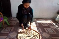 Điều trị chứng yếu sinh lý nam giới nhờ bài thuốc quý gia truyền