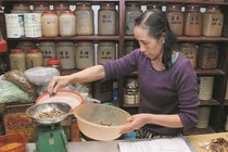 Bài thuốc kết hợp ăn uống trị bệnh trĩ