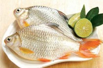 Cá diếc nấu trần bì phòng suy nhược cơ thể