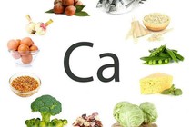 Canxi được ví như các viên gạch xếp nên hệ thống xương