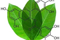 Sản phẩm bổ sung tinh chất trà xanh:  Cẩn trọng hương liệu hóa học, phẩm màu
