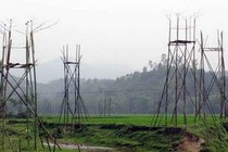 Ai điếu cho chim én