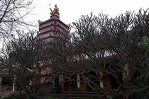Thiền sư Vạn Hạnh, nhà tiên tri xuất chúng – kỳ 2: Tiên đoán về sự lên ngôi của Lý Công Uẩn