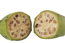 Chuối hột nhiều công dụng
