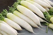 Củ cải chữa viêm đại tràng