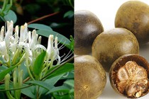 Đã khát, giải nhiệt với thức uống từ thảo mộc