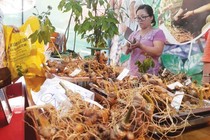 Cuộc “cách mạng” nơi huyện nghèo nhất nước