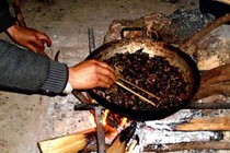 Lên Tả Phìn ăn… thịt chuột rừng gác bếp