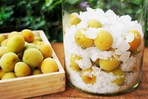 Mơ càng ngâm lâu càng tốt