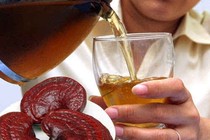 Lý do nấm lim xanh “vật” người uống