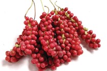 Quả ngũ vị nhiều tác dụng