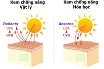 Nguyên do kem chống nắng hao tổn
