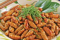 Dị ứng côn trùng do cơ địa